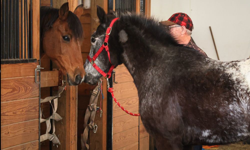 Troy reunited with BFF