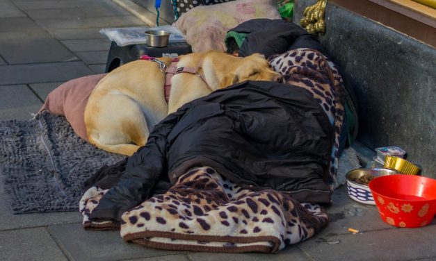 People More Likely to Stay at Homeless Shelters if Their Beloved Pets Are Allowed, New Study Finds