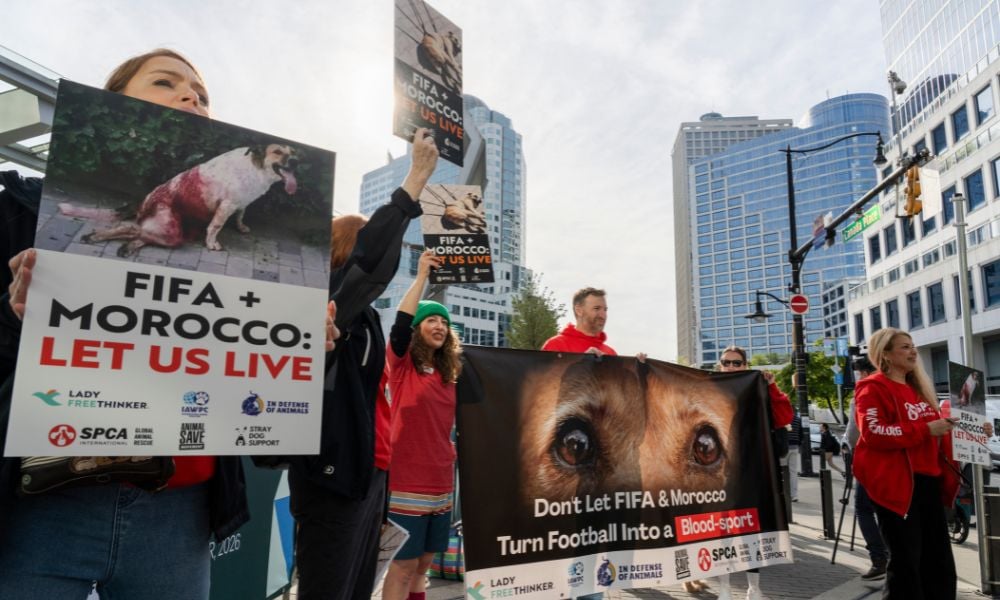 FIFA Protest
