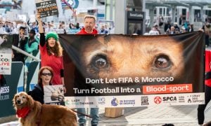 Protesters at FIFA Congress