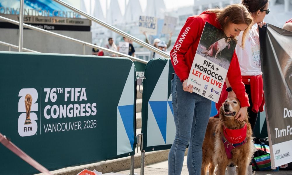 FIFA Protest