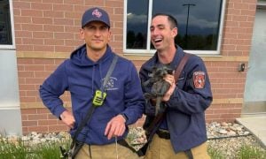 Firefighters posing with rescued baby raccoon