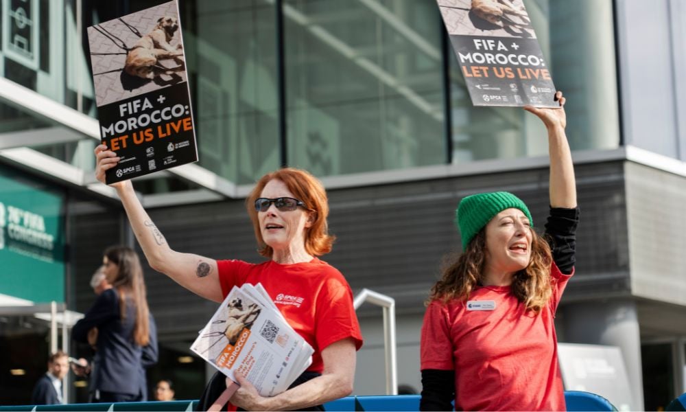 Protesters at FIFA