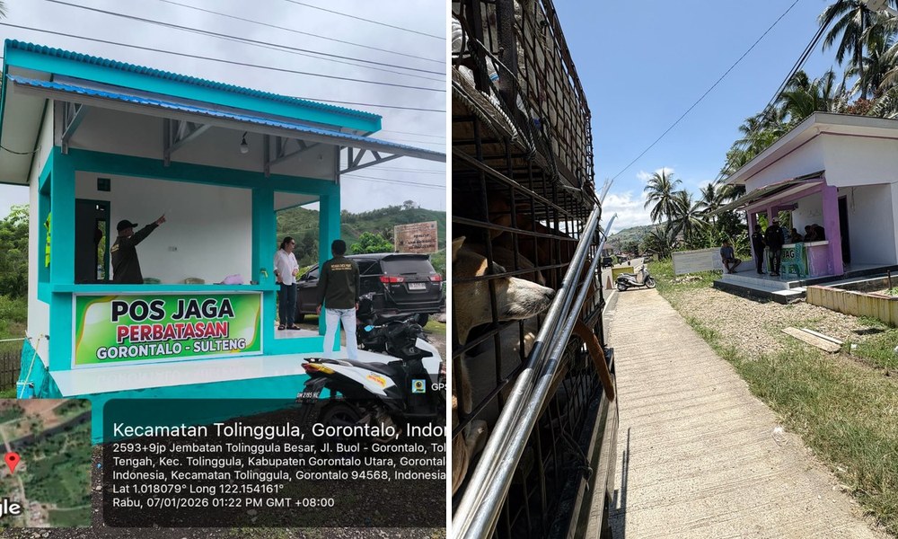 Gorontalo border checkpoint and dog in transport cage during Sulawesi dog and cat meat trade interception effort
