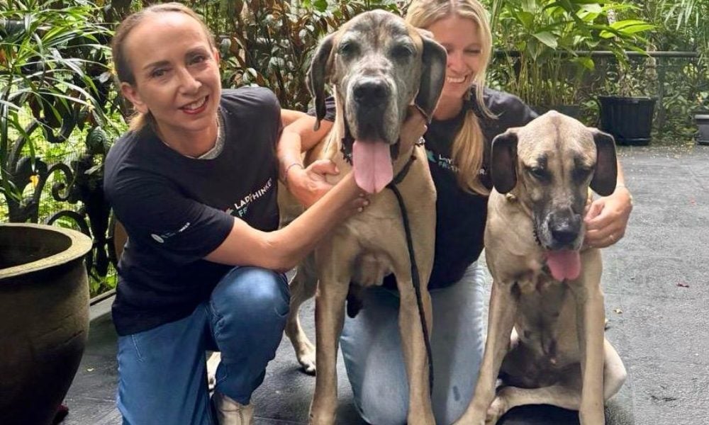 Thelma and Louise with rescuers