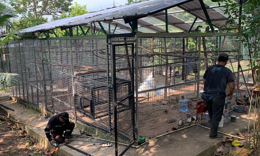 New enclosure being built