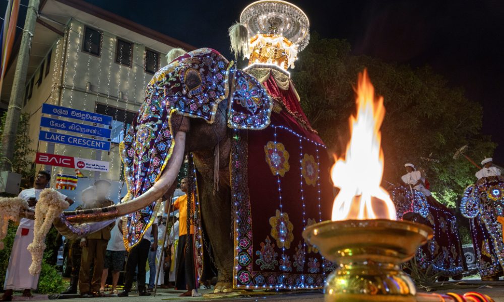 an elephant dressed in a costume and forced to participate in a festival