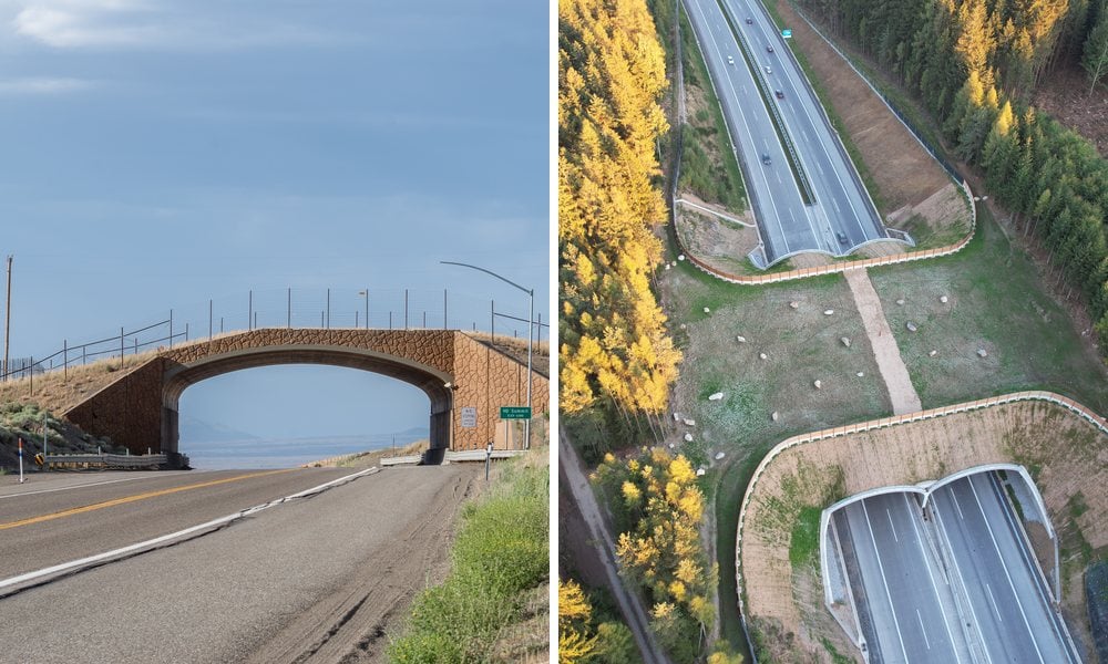 wildlife overpass and aerial view of ecoduct