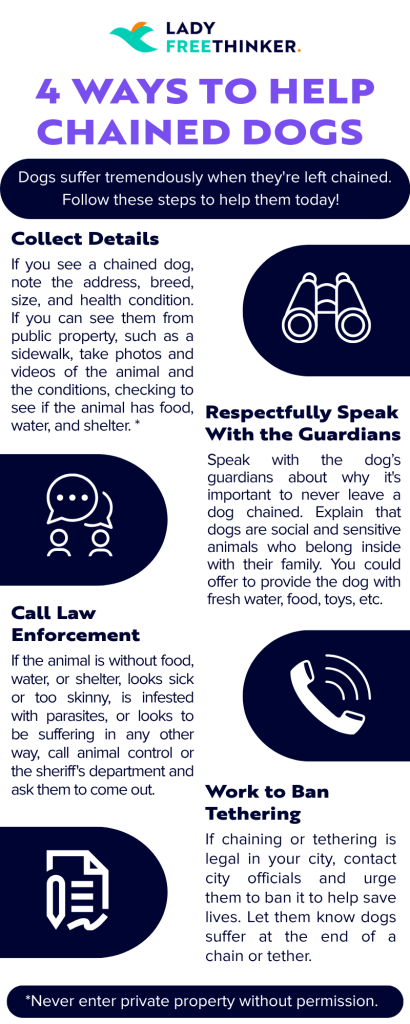 4 ways to help chained dogs 1 collect details 2 respectfully speak with the owners 3 call law enforcement 4 work to ban chaining
