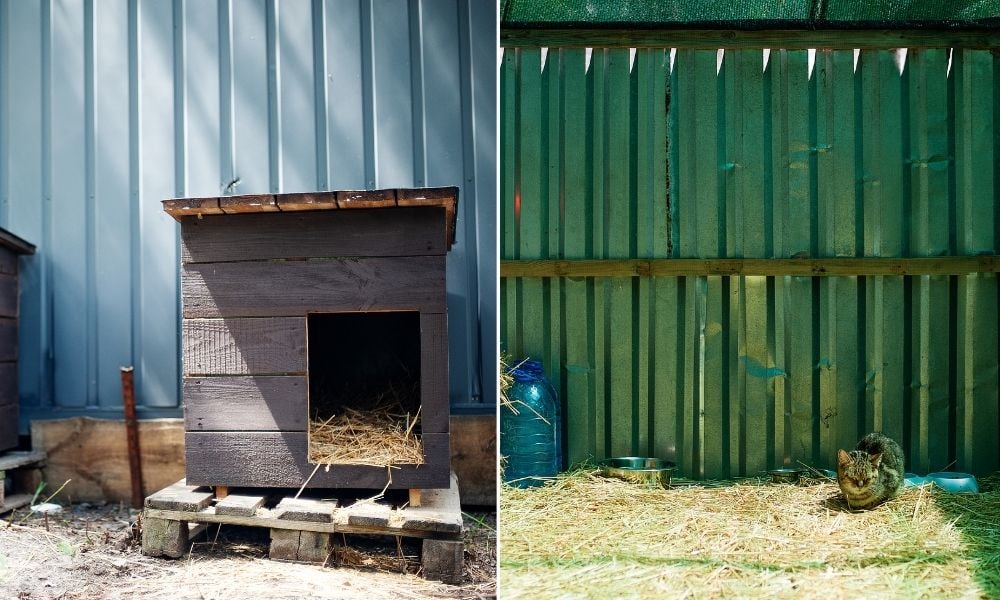 Doghouse and cat enclosure