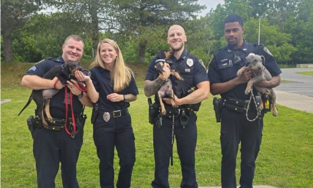 Puppies Rescued From Neglect Investigation Adopted by Police Officers Who Saved Them