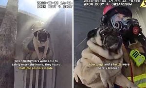 Bodycam Footage of Rescue