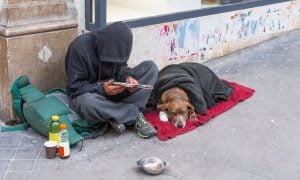 Dog with homeless person