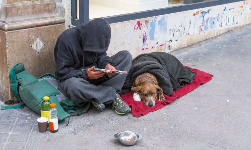 Dog with homeless person