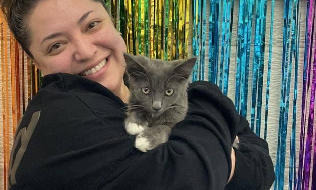 Freeway Kitten’s Patrol Car Caper Ends With a FUREVER Home