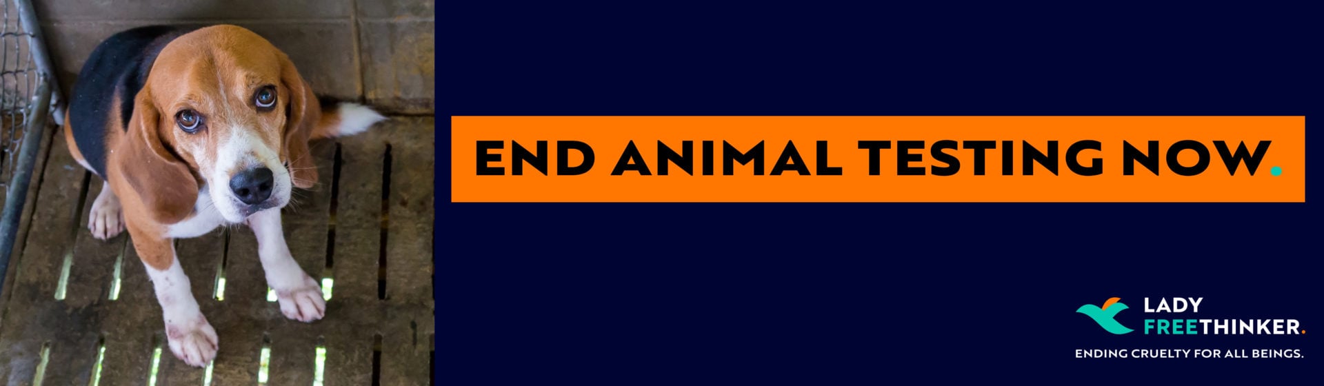 End animal testing now. Sign the petition.