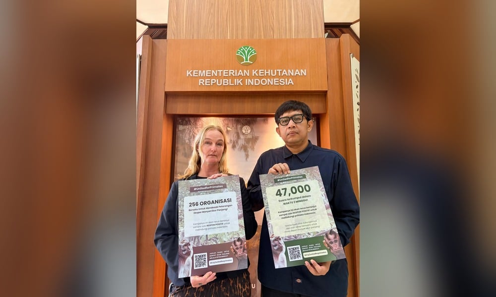 Two United For Primates representatives hold signs showing support from 256 organizations and 47,000 people at Indonesia's Ministry of Forestry.