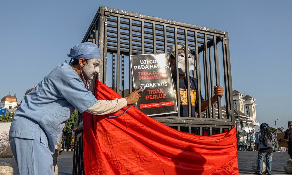 A performer dressed as a laboratory worker examines an advocate wearing a macaque mask inside a cage during a Yogyakarta protest.
