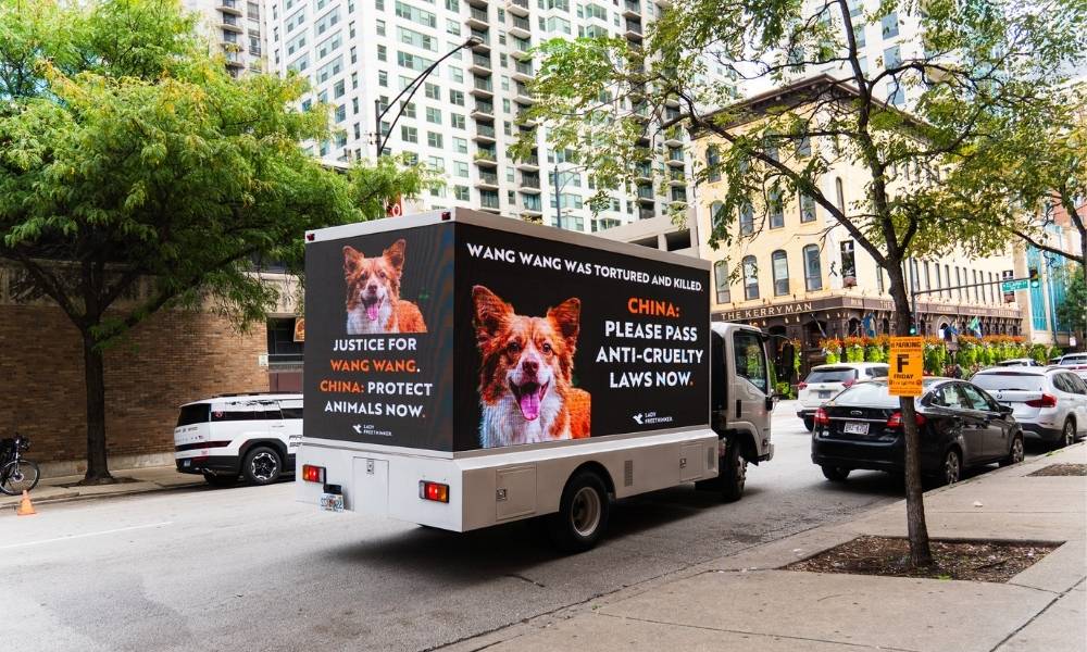 Billboard truck