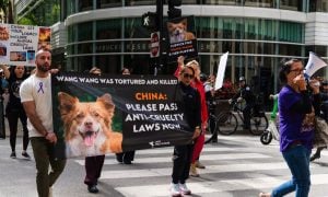 March for Wang Wang