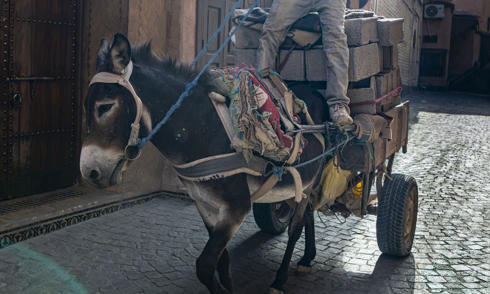 Donkey pulling a cart piled with a heavy load through a street