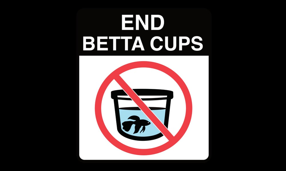 End Betta Cups campaign graphic with a crossed-out fish cup.